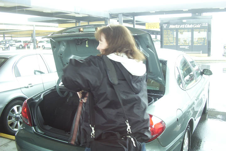 Rental Car to the Rescue Rental Car to the Rescue